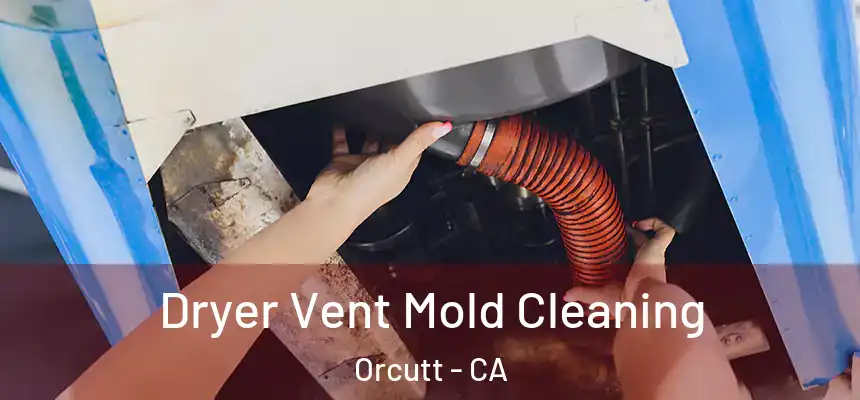  Dryer Vent Mold Cleaning Orcutt - CA