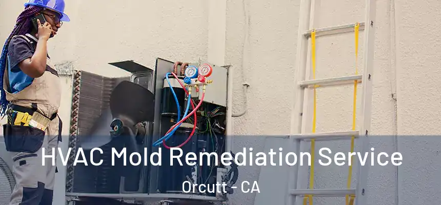  HVAC Mold Remediation Service Orcutt - CA