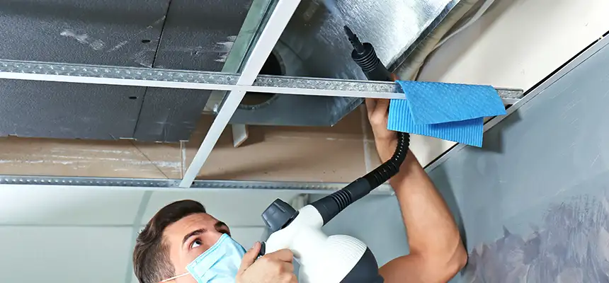 Our Air Duct Rodent Removal Services in Orcutt, CA