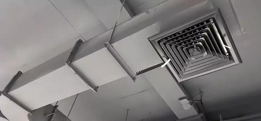 Restorative Allergy Relief Vent Cleaning – Coil, Blower & Housing Detail in Orcutt