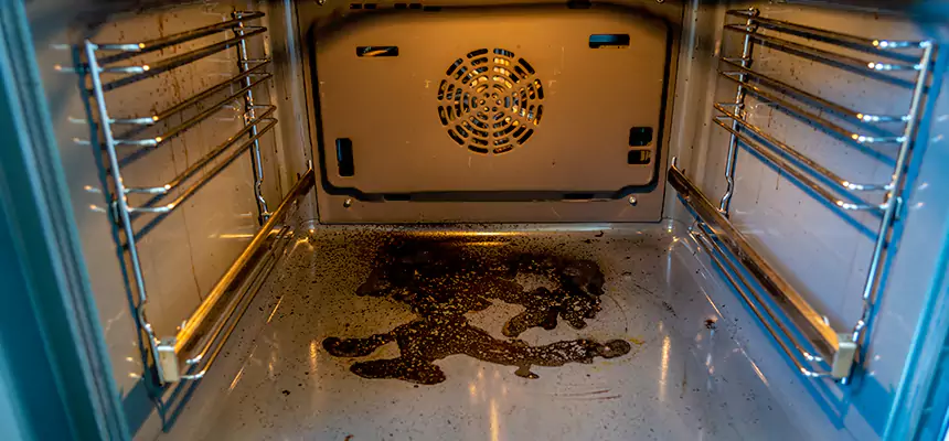 Our Dryer Vent Mold Cleaning Services in Orcutt, CA