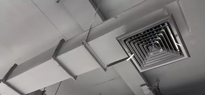 Our Rodent Droppings In Vents Services in Orcutt, CA