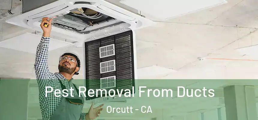  Pest Removal From Ducts Orcutt - CA
