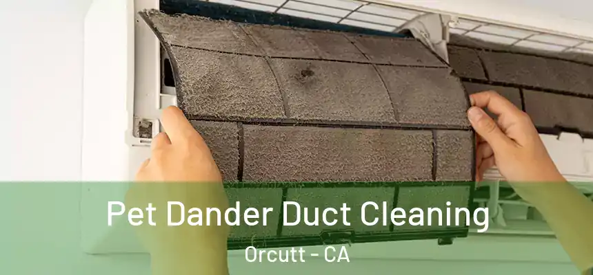  Pet Dander Duct Cleaning Orcutt - CA