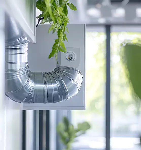 Professional Eco-Safe Dryer Vent Cleaning in Orcutt, CA