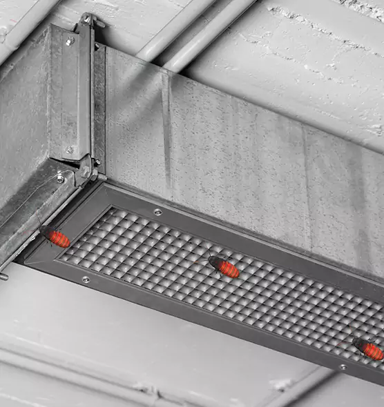 Affordable Insect Removal from Air Ducts in Orcutt, CA